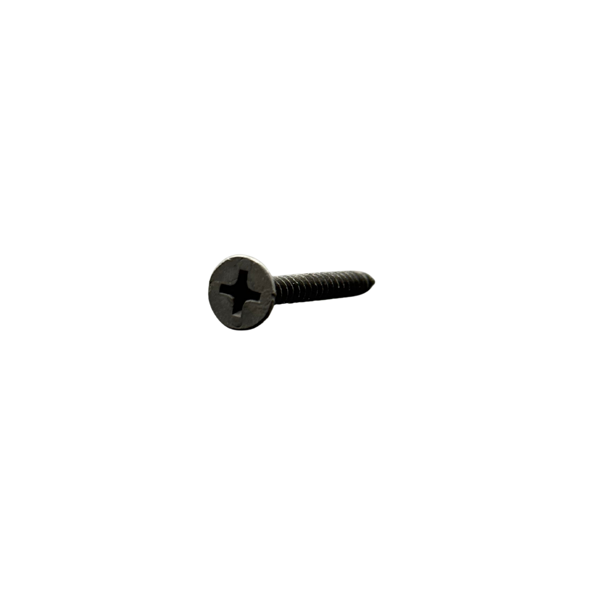 Tornillo para panel de yeso a metal ST 6x1" 500 y 1,000 piezas
