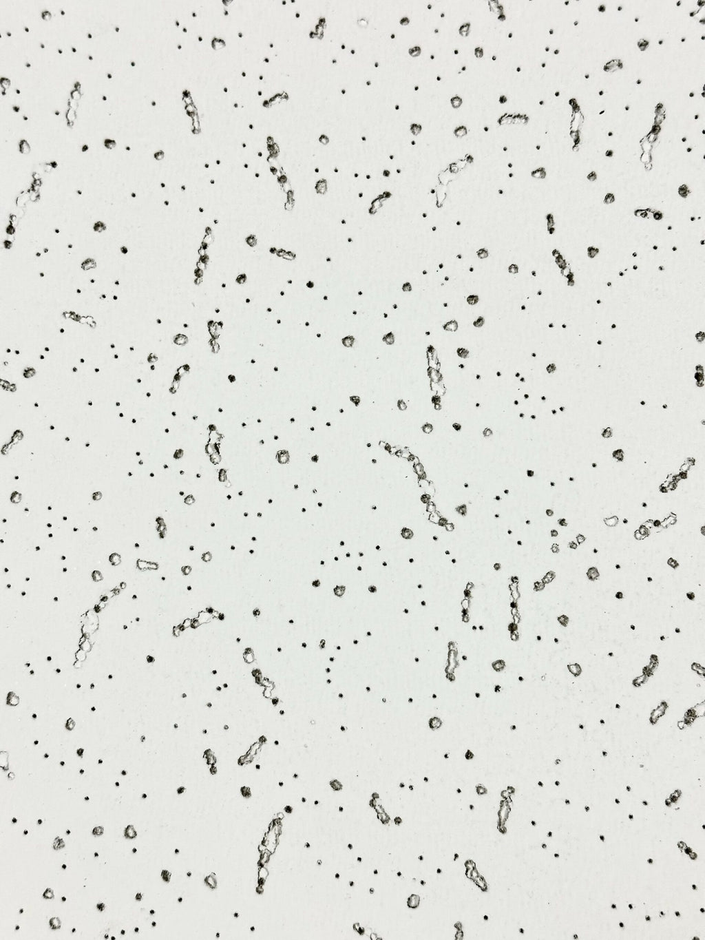 Plafón FIBRA M LW PLUS 61x61/15 mm/ 10pz